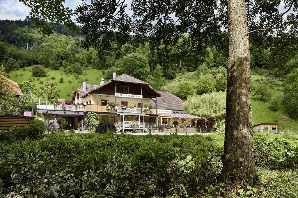 Hostellerie Les Bagenelles Sainte-Marie-aux-Mines Exteriör bild